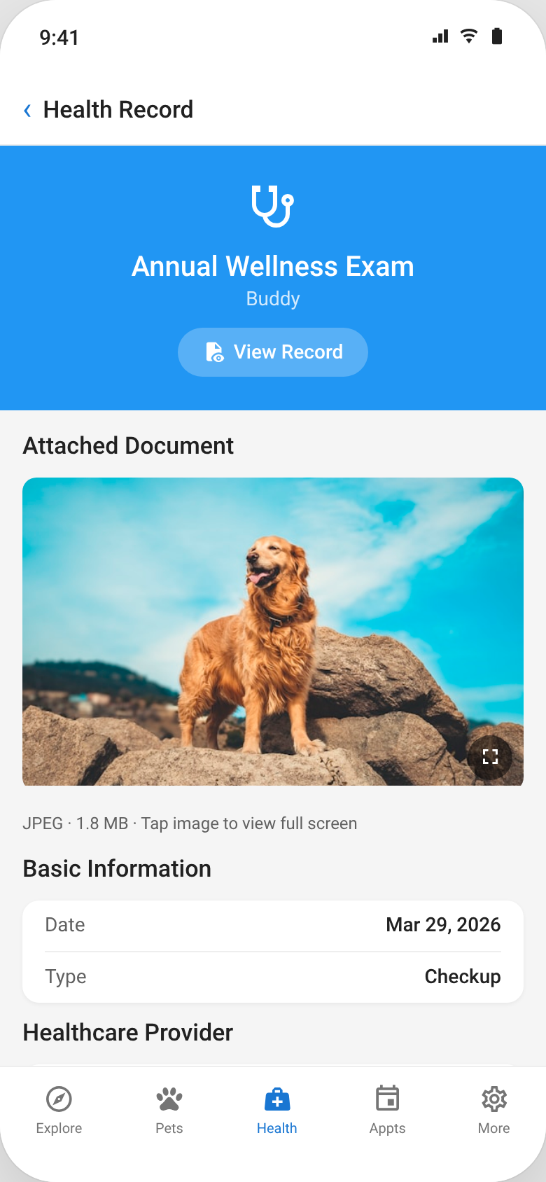 Health record detail view