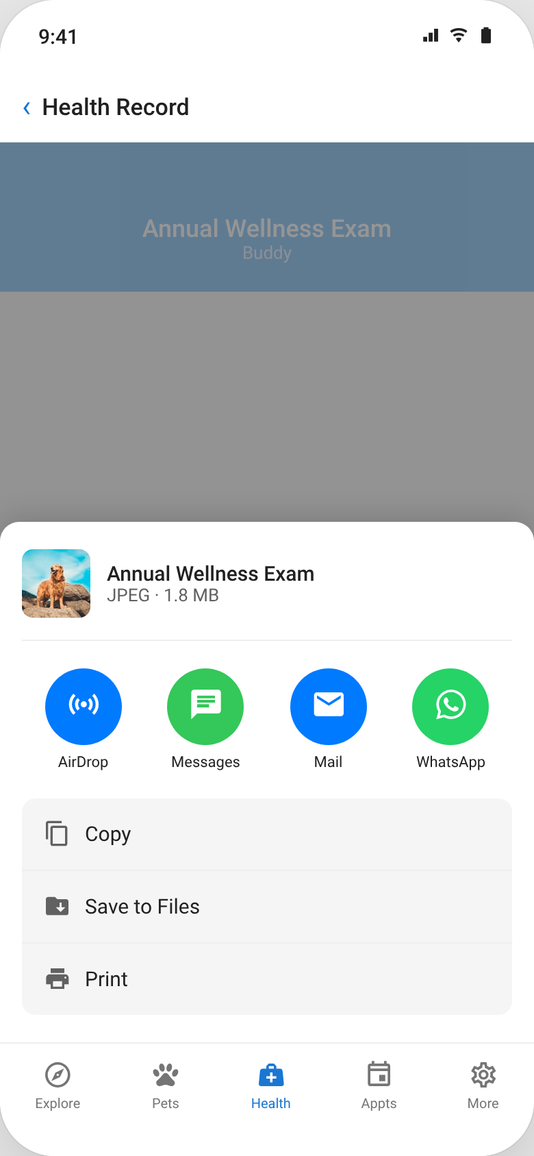 Sharing a health record with a vet